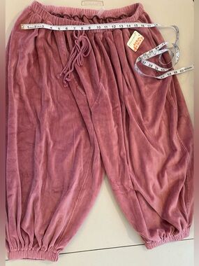 (NWOT) Free People Movement Velour Joggers Rosewood Pink L